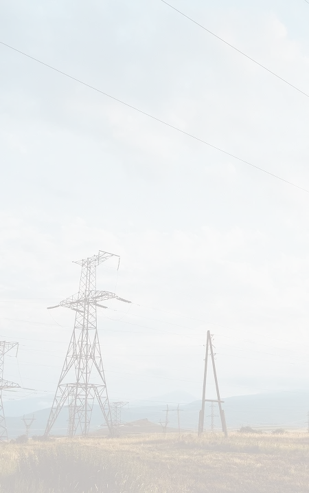 Enerbee grid
